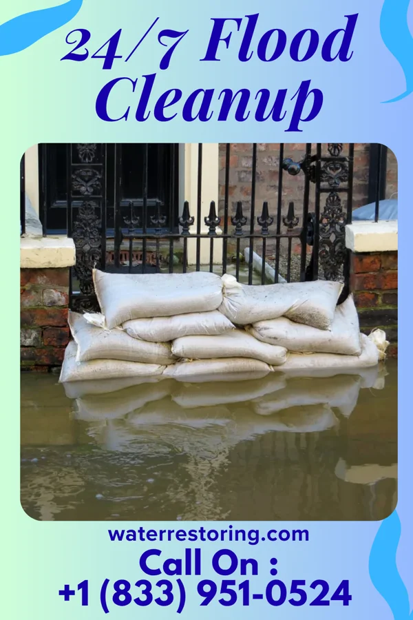 24/7 Flood Cleanup in Pamplin City, VA