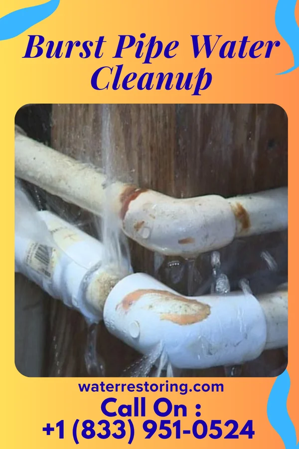 Burst Pipe Water Cleanup in Pamplin City, VA