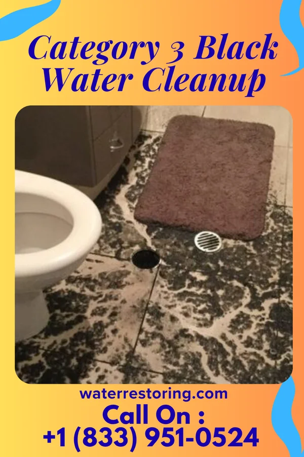 Category 3 Black Water Cleanup in Pamplin City, VA