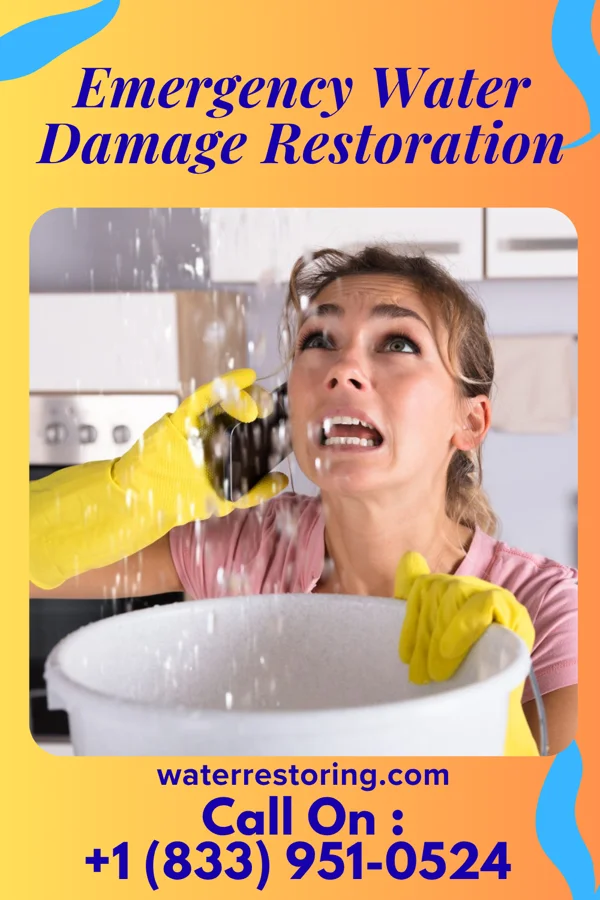 Emergency Water Damage Restoration in Pamplin City, VA