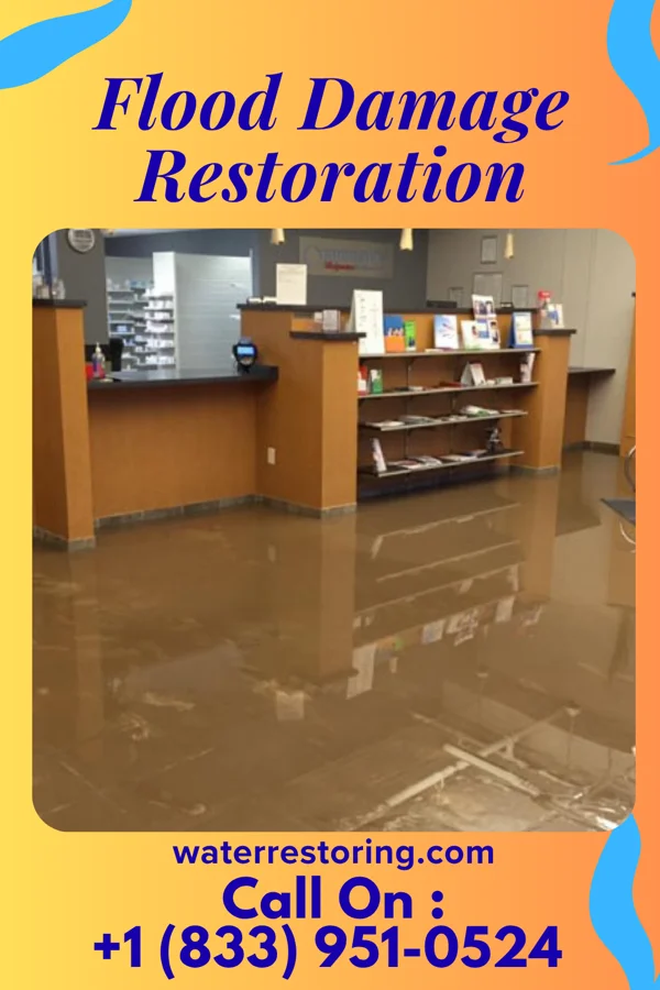 Flood Damage Restoration in Pamplin City, VA