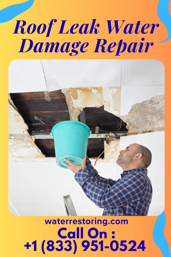 Roof Leak Water Damage Repair in Pamplin City, VA