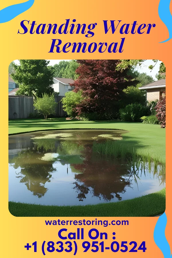 Standing Water Removal in Pamplin City, VA